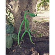 Picket the Bowtruckle sculpture